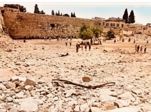 The Kotel (Western Wall): A Brief History Cover Image