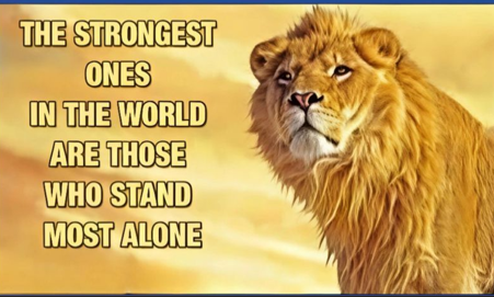 Stand, Even If You Stand Alone Cover Image