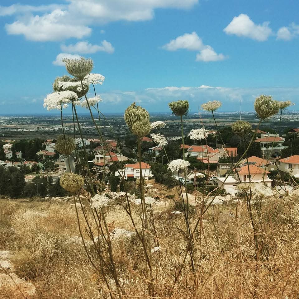 Love and Disappointment in the Land of Israel