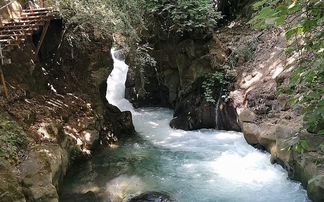 BDS Wants Israel Gone – Even If Millions Go Thirsty Cover Image